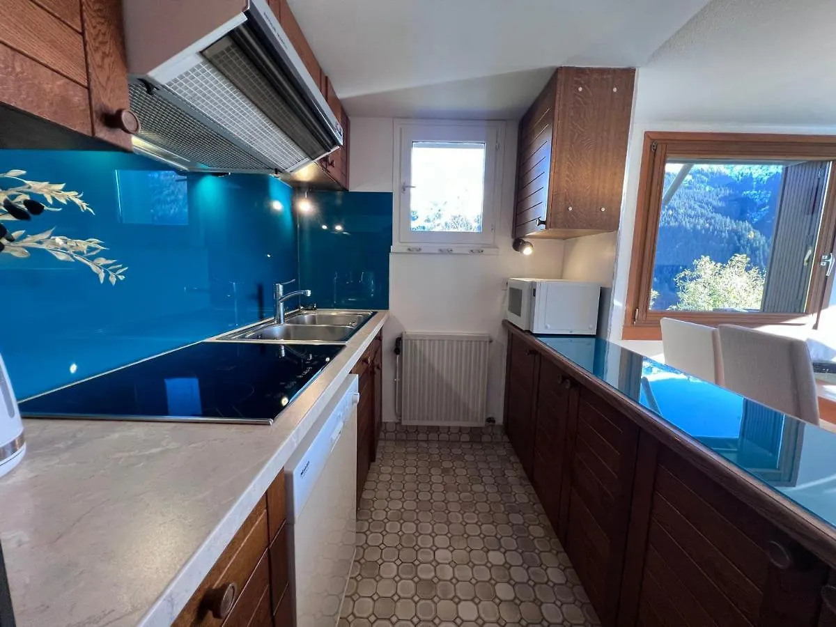 Charmant Appart 2 Ch Avec Balcon Et Wifi A La Clusaz - Fr-1-437-108